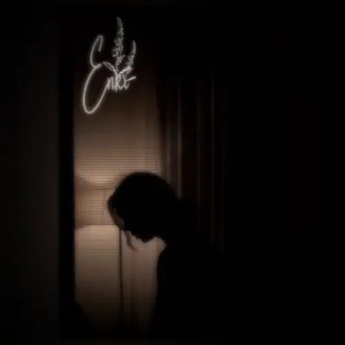 Vlees : I Had So Much Left to Say